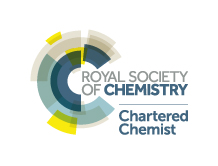 rsc_logo_chartered-chemist_a4_web
