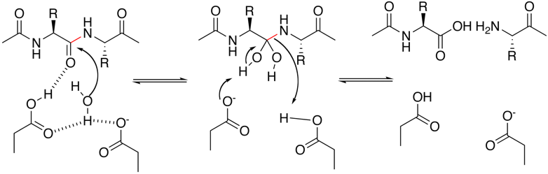 mechanism