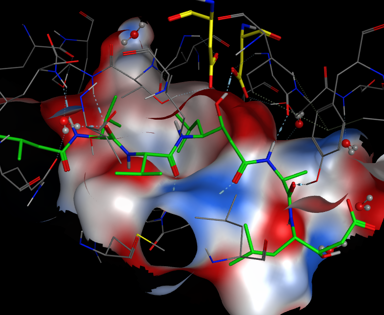 pepstatin2