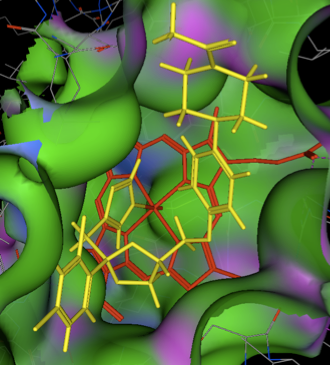 cyp3a4_ketoconazole