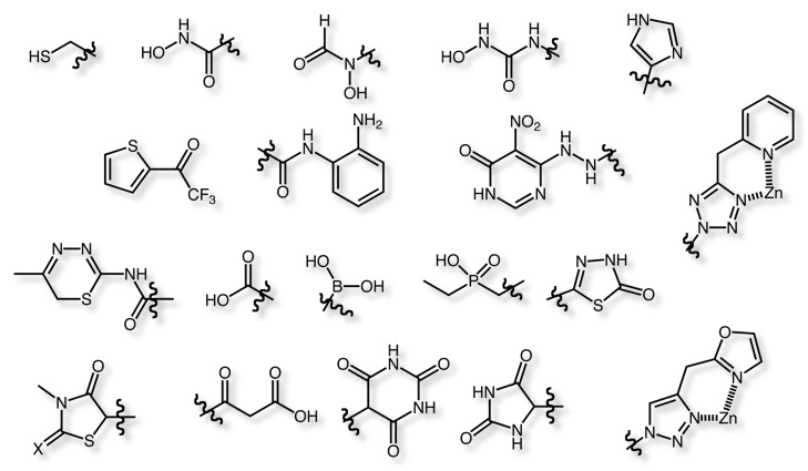 6 Common HM chelators with their specific activity and metal