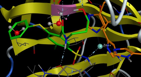 zincCarbonicAnhydrase