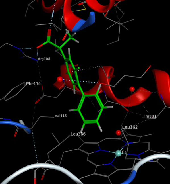 Cytochrome 2C9 inhibition – Cambridge MedChem Consulting